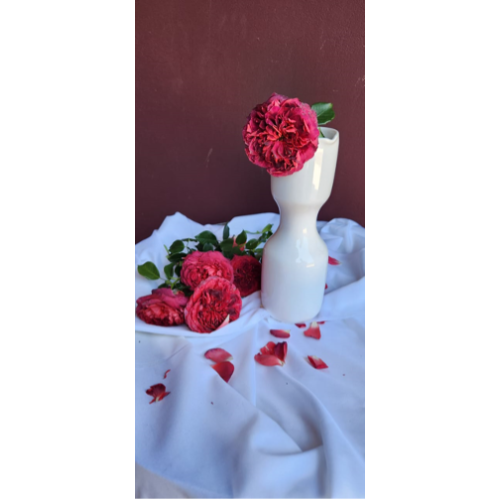 Ceramic Decorative vase / Pot